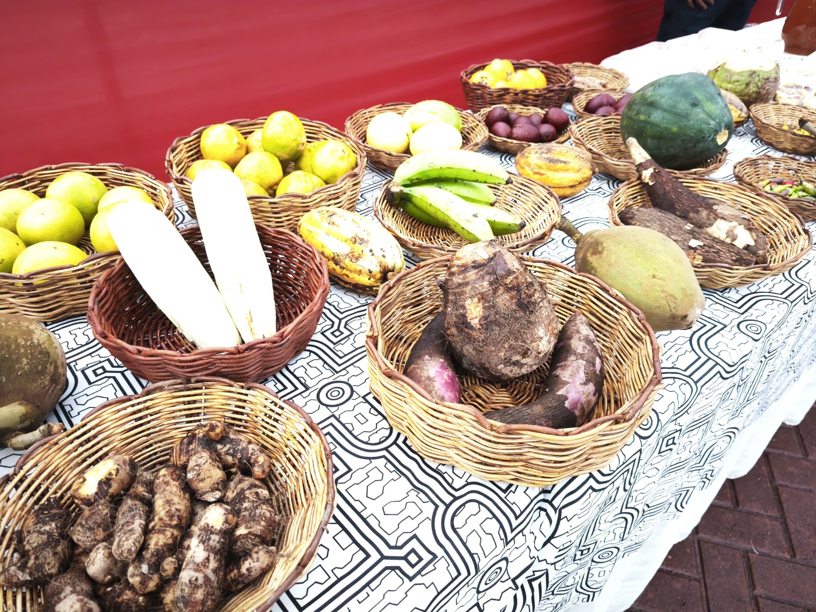 Este festival une alianzas con la Municipalidad Provincial de Rioja y el Comité de Gestión del Destino Alto Mayo, una fiesta emblemática que sigue dejando huella en el corazón de la Amazonía peruana.