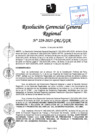 Vista preliminar de documento RGGR 229-2025-GRL-GGR
