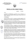 Vista preliminar de documento R.D. Nº 417-2025