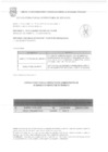 Vista preliminar de documento RESULTADOS DE POSTULACION MEMO DE REQUERIMIENTO N° N°382-2025-SGTSV