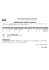 Vista preliminar de documento convocatoria primaria
