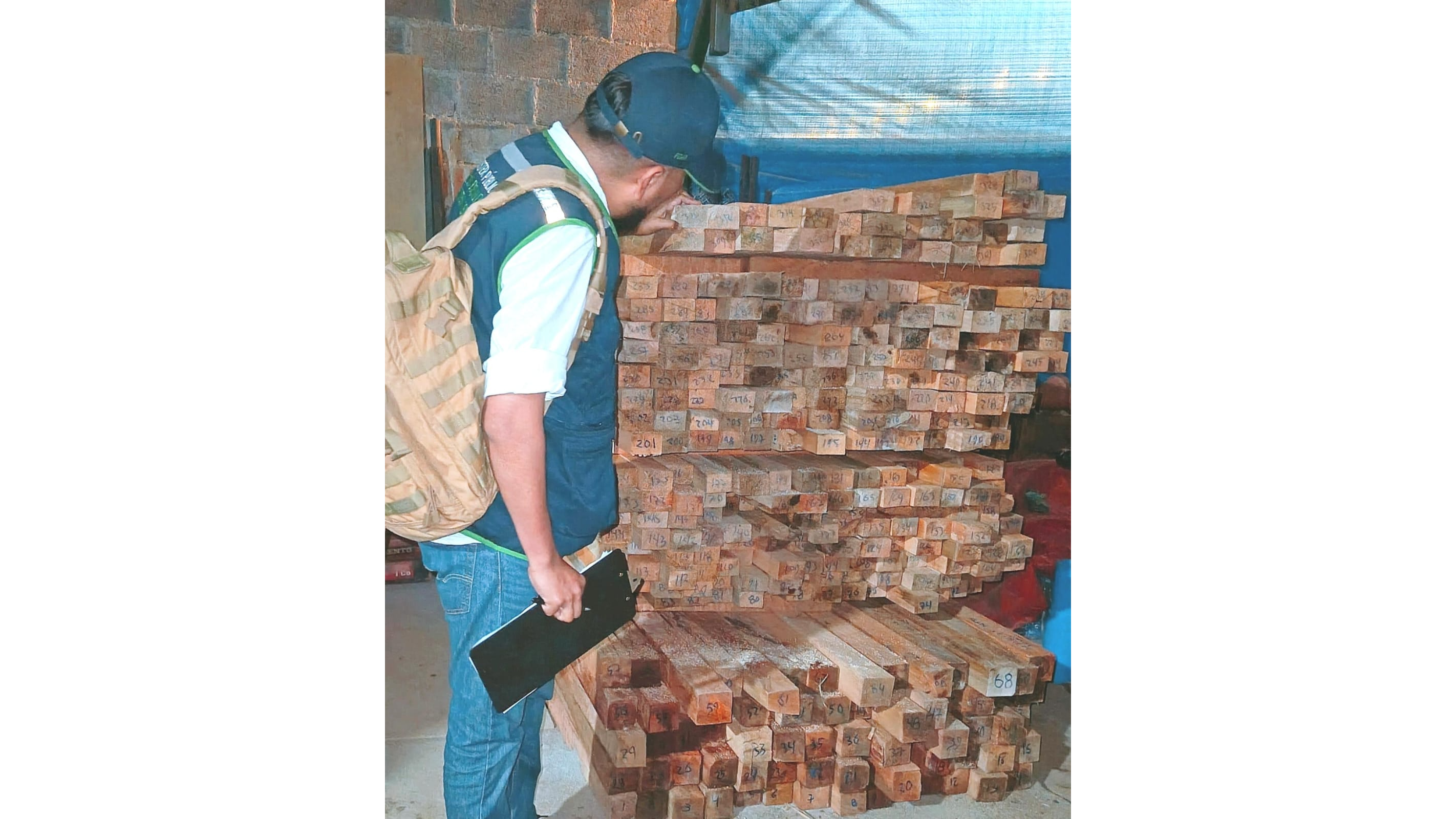 FEMA Ayacucho logra incautación de más de 1700 piezas de madera de origen ilegal en el Vraem.