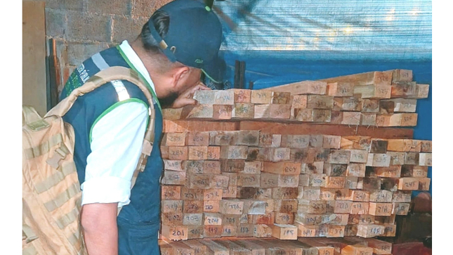 FEMA Ayacucho logra incautación de más de 1700 piezas de madera de origen ilegal en el Vraem.