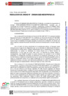 Vista preliminar de documento RU-0245-2025-MIDIS-PNPAIS-UA