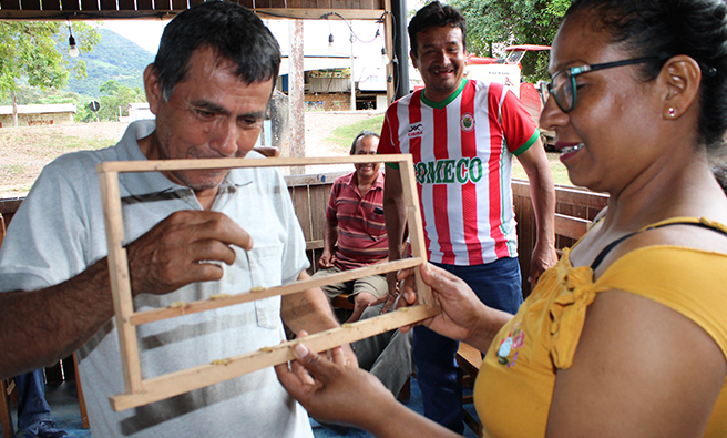 Apicultores aplicando la técnica de Miller.