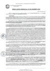 Vista preliminar de documento RESOLUCION GERENCIAL Nº 253-2025-MPS-GDE