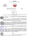 Vista preliminar de documento Resolucion Directoral N° 003503-2025