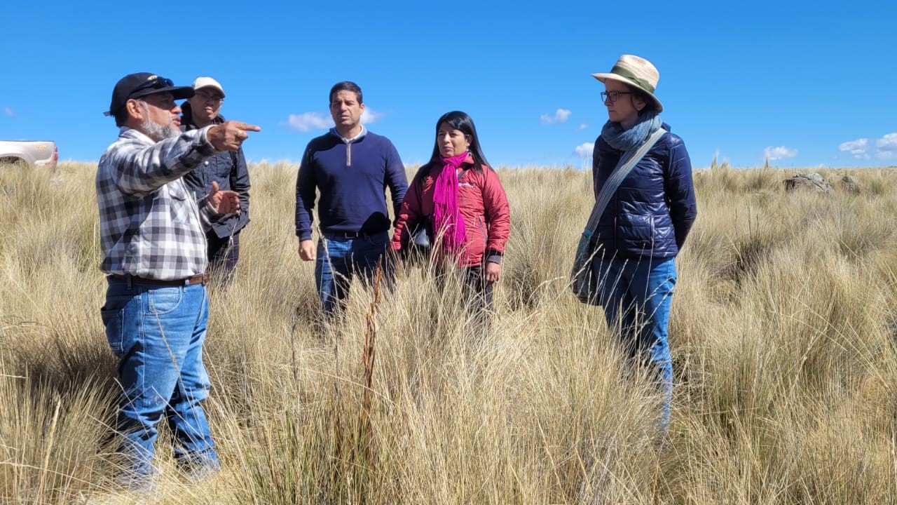 Indecopi impulsará el uso de la propiedad intelectual para potenciar la papa nativa de Ayacucho