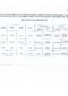 Vista preliminar de documento solicitudes de reconsideracion, aptos y no aptos