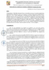 Vista preliminar de documento GDU-173-25