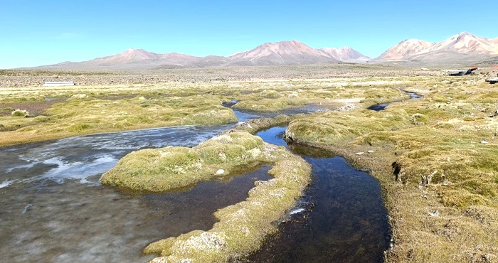Tacna