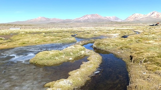 Tacna