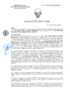 Vista preliminar de documento RD-2605-2025-DSAIA-DIRIS-LE-MINSA