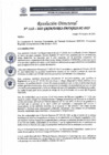 Vista preliminar de documento R.D N°1112-2025-DIRESA-OGESS-HC DG