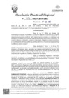 Vista preliminar de documento RDR Nº 1173-2025-GRSM-DRE