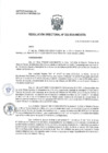 Vista preliminar de documento Resolución Directoral N° 222-2024-INEI/OTA