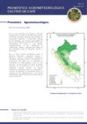 Vista preliminar de documento cafe_monitoreo_1jun25