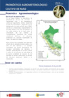 Vista preliminar de documento maiz_monitoreo_1jun25