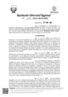 Vista preliminar de documento RDR Nº 1177-2025-GRSM-DRE