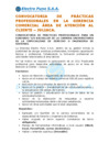 Vista preliminar de documento CONVOCATORIA DE PRÁCTICAS PROFESIONALES EN ATC - JULIACA ..16.06.25