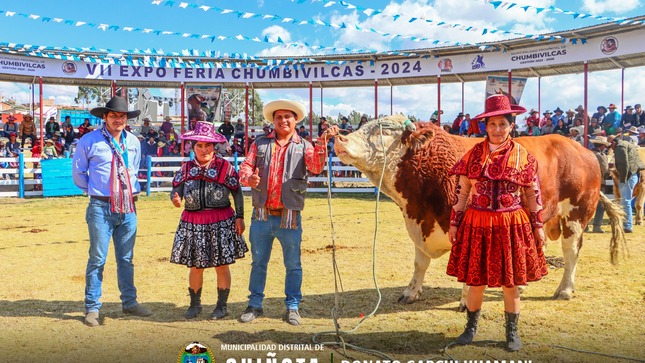 Toro engorde