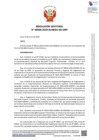 Vista preliminar de documento Resolución