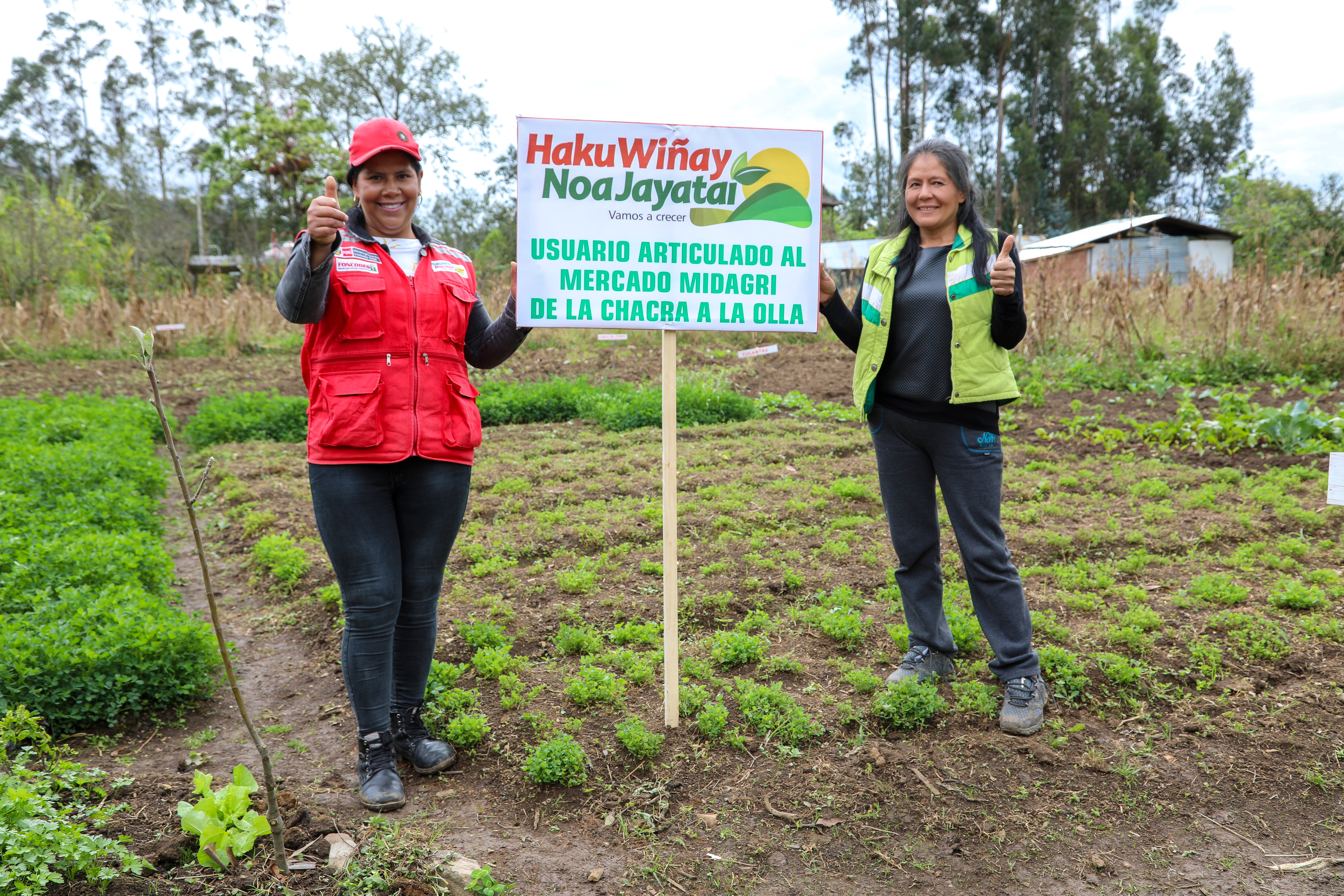 Los yachachiq trasladan conocimientos de tecnología productiva en Haku Wiñay
