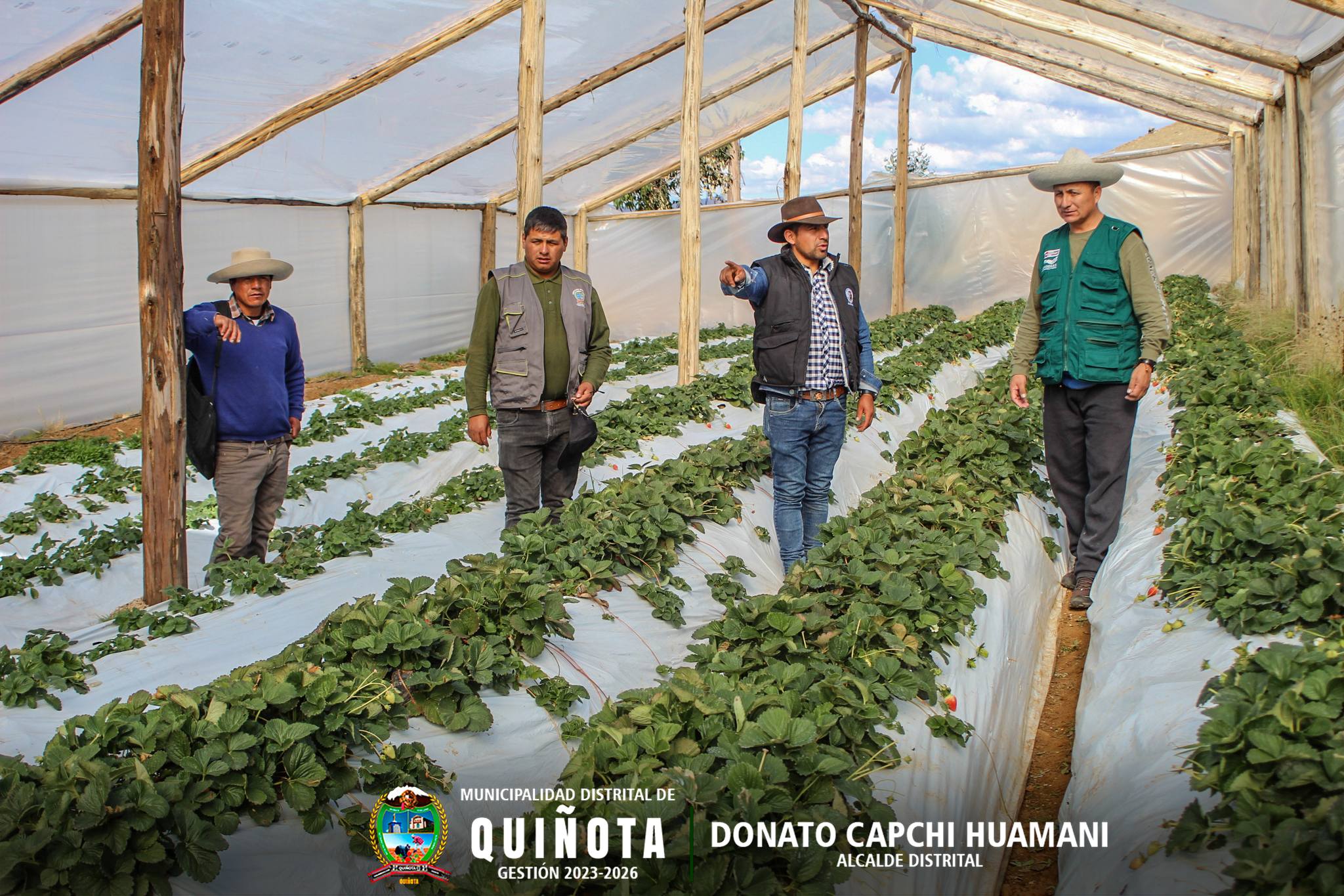 Verificando las fresas
