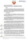 Vista preliminar de documento RD Nº D000053-2025-DE