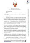 Vista preliminar de documento Resolución