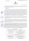 Vista preliminar de documento 617-2025