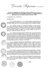 Vista preliminar de documento Decreto Supremo N° 015-2025-RE