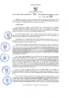 Vista preliminar de documento GRDS.204