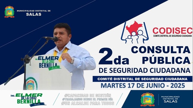 Segunda Consulta Pública de Seguridad Ciudadana 2025