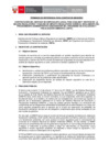 Vista preliminar de documento TDR