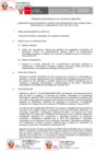 Vista preliminar de documento TDR