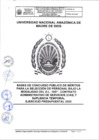 Vista preliminar de documento BASES DL 1057