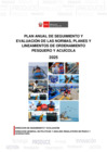 Vista preliminar de documento Plan Anual 2025 de Seguimiento y Evaluación