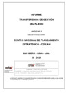 Vista preliminar de documento ITG CEPLAN Consolidado