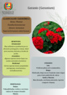 Vista preliminar de documento Geranio (1)