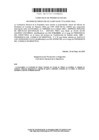 Vista preliminar de documento Constancia (23)