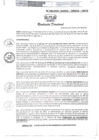 Vista preliminar de documento RD-146-2025-GOREU-DIRESA-HAYA