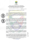 Vista preliminar de documento RCO N° 237-2025