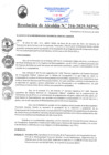 Vista preliminar de documento RA216-2025