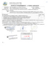 Vista preliminar de documento Orden de Requerimiento N°151-2025