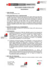 Vista preliminar de documento Requerimiento