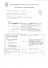 Vista preliminar de documento CONVOCATORIA MEMORANDO DE REQUERIMIENTO N°491-2025-SGPOP-GDU-MVES