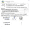 Vista preliminar de documento Orden de Requerimiento N° 132-2025