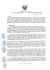 Vista preliminar de documento 43