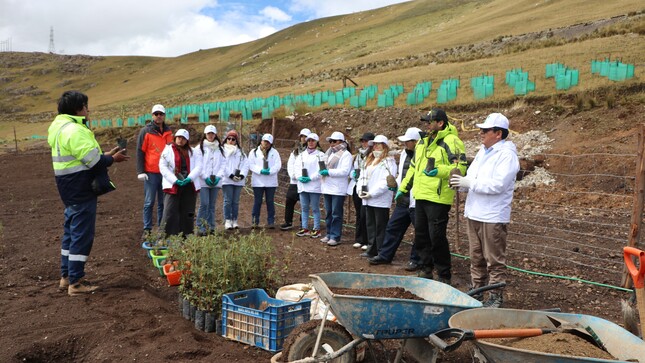 EcoChaki: AMSAC impulsa revegetación altoandina en Cerro de Pasco con tecnología sostenible
